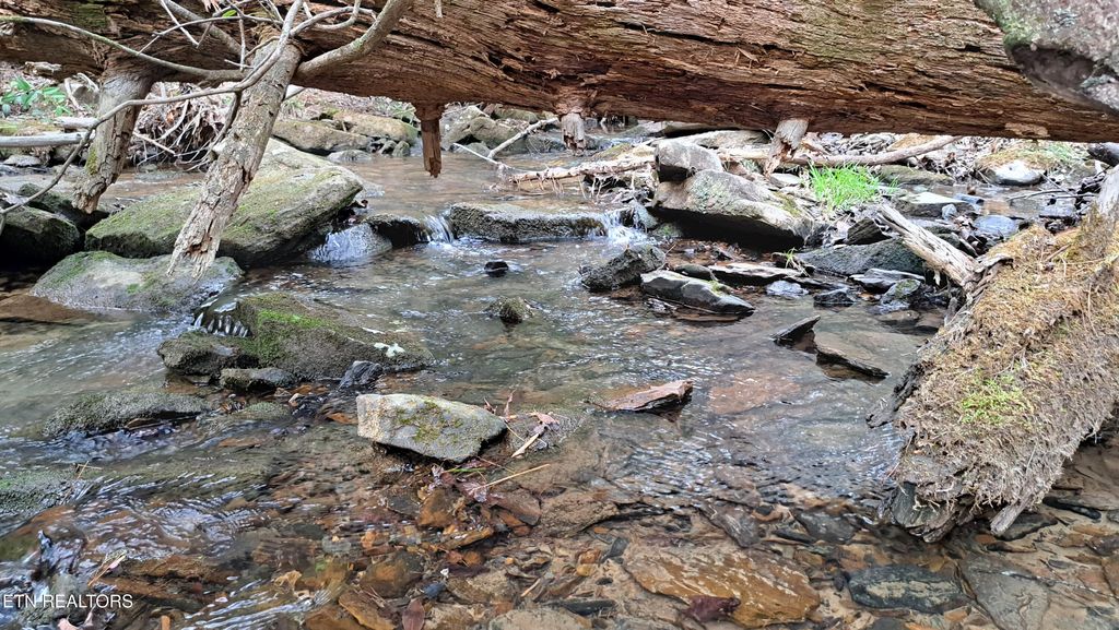 Photo of Airport Rd - Lot 16 (PCA), Rockwood, TN 37854 (MLS # 1299456)