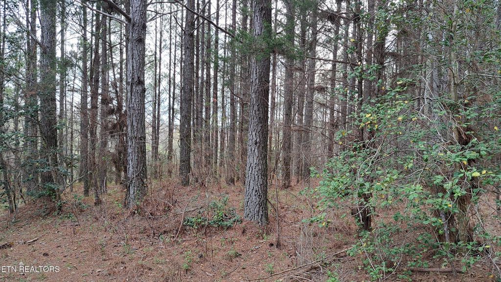 Photo of Airport Rd - Lot 16 (PCA), Rockwood, TN 37854 (MLS # 1299456)