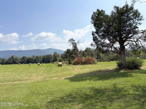 Tiny photo for 226 Ike Burgess Rd, Crossville, TN 38572 (MLS # 1355787)