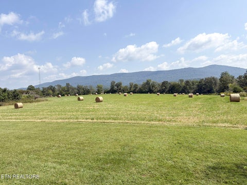 Tiny photo for 226 Ike Burgess Rd, Crossville, TN 38572 (MLS # 1355787)