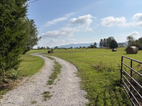 Tiny photo for 226 Ike Burgess Rd, Crossville, TN 38572 (MLS # 1355787)