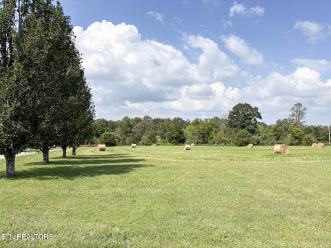 Tiny photo for 226 Ike Burgess Rd, Crossville, TN 38572 (MLS # 1355787)