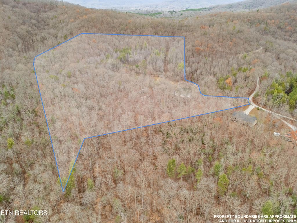 Photo of 778 Cassell Rd, Oliver Springs, TN 37840 (MLS # 1285258)