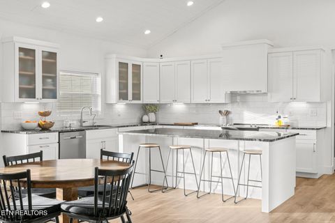 Tiny photo for 916 Zirkle Rd, Dandridge, TN 37725 (MLS # 1329369)