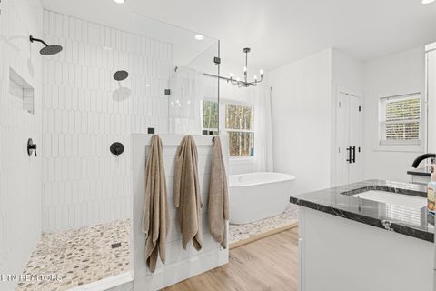 Tiny photo for 916 Zirkle Rd, Dandridge, TN 37725 (MLS # 1329369)