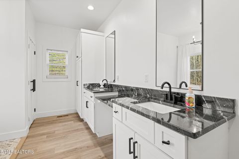 Tiny photo for 916 Zirkle Rd, Dandridge, TN 37725 (MLS # 1329369)