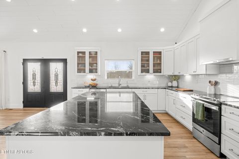 Tiny photo for 916 Zirkle Rd, Dandridge, TN 37725 (MLS # 1329369)