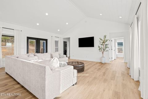 Tiny photo for 916 Zirkle Rd, Dandridge, TN 37725 (MLS # 1329369)