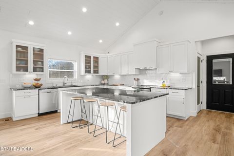 Tiny photo for 916 Zirkle Rd, Dandridge, TN 37725 (MLS # 1329369)