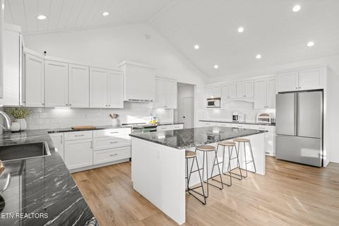 Tiny photo for 916 Zirkle Rd, Dandridge, TN 37725 (MLS # 1329369)