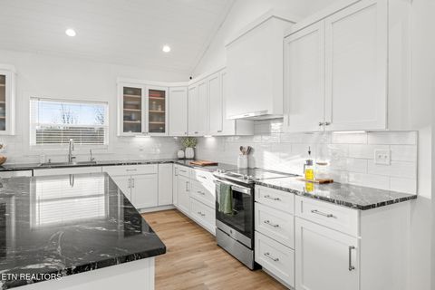 Tiny photo for 916 Zirkle Rd, Dandridge, TN 37725 (MLS # 1329369)