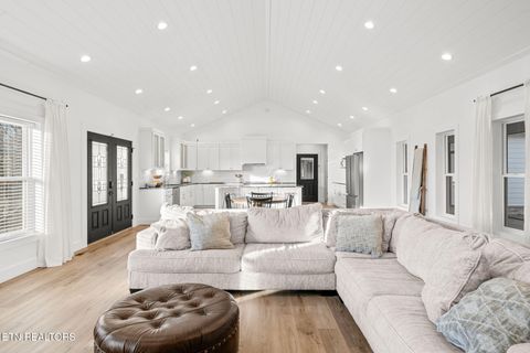 Tiny photo for 916 Zirkle Rd, Dandridge, TN 37725 (MLS # 1329369)