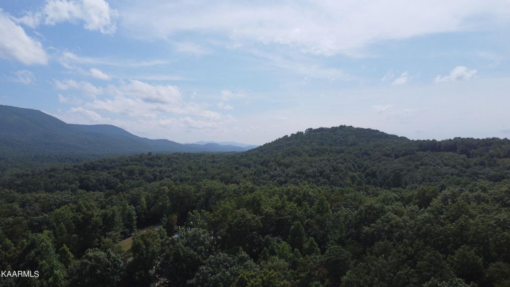 Photo of 000 Harold Witt Rd, Tellico Plains, TN 37385 (MLS # 1236442)