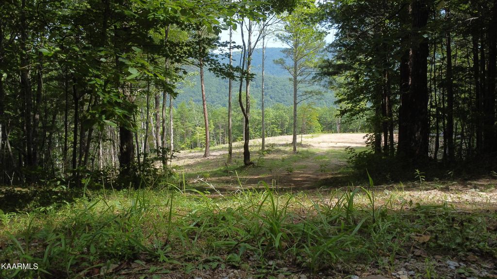 Photo of 000 Harold Witt Rd, Tellico Plains, TN 37385 (MLS # 1236442)