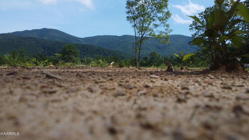 Photo of 000 Harold Witt Rd, Tellico Plains, TN 37385 (MLS # 1236442)