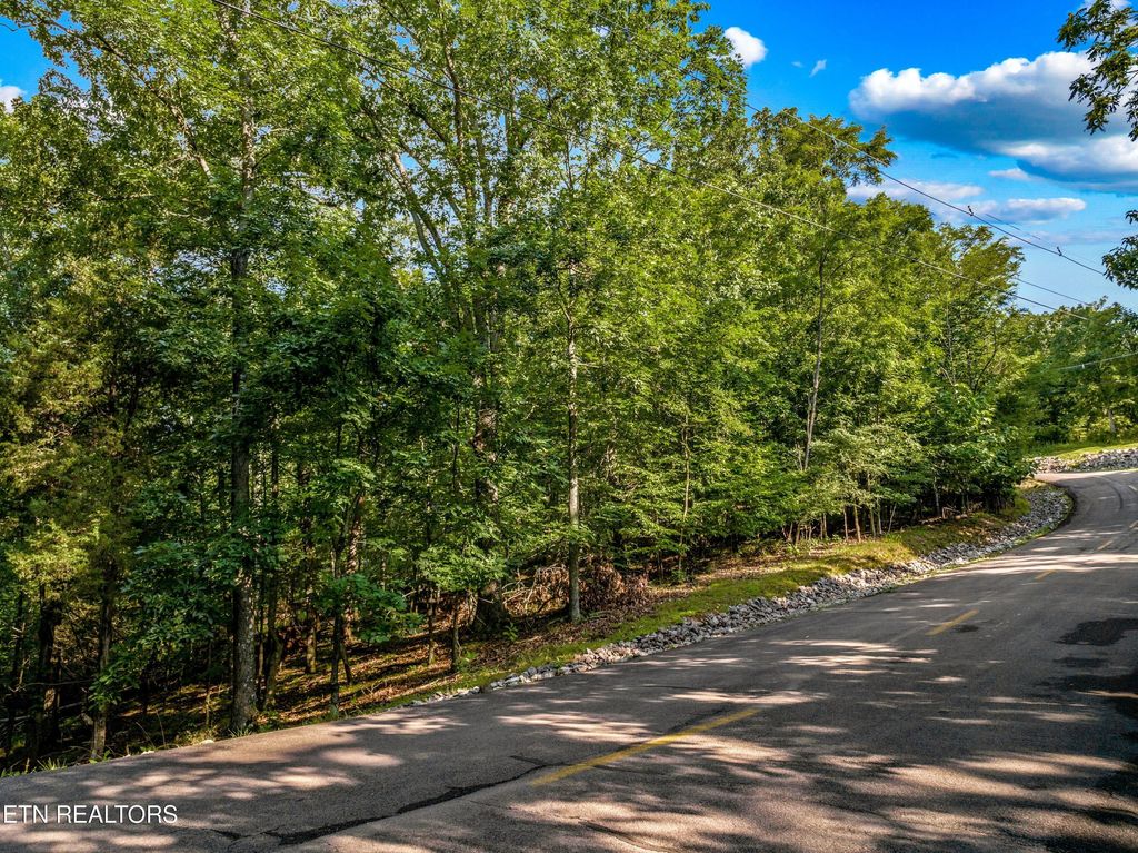 Photo of 1308 Muskogee Drive, Mooresburg, TN 37811 (MLS # 1307295)