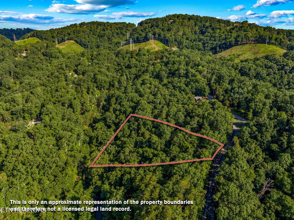 Photo of 1308 Muskogee Drive, Mooresburg, TN 37811 (MLS # 1307295)