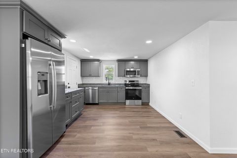 Tiny photo for 414 W Hemlock St, LaFollette, TN 37766 (MLS # 1320132)