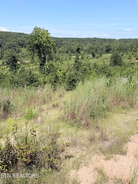 Tiny photo for 140 County Road 190, Decatur, TN 37322 (MLS # 1355039)