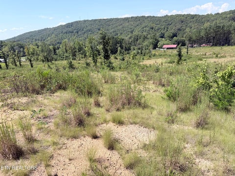 Tiny photo for 140 County Road 190, Decatur, TN 37322 (MLS # 1355039)