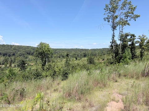 Tiny photo for 140 County Road 190, Decatur, TN 37322 (MLS # 1355039)