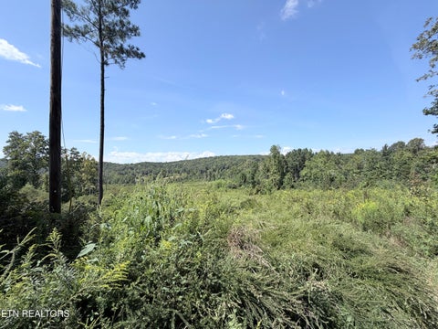 Tiny photo for 140 County Road 190, Decatur, TN 37322 (MLS # 1355039)