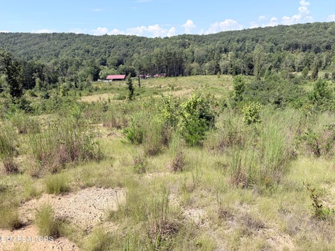 Tiny photo for 140 County Road 190, Decatur, TN 37322 (MLS # 1355039)