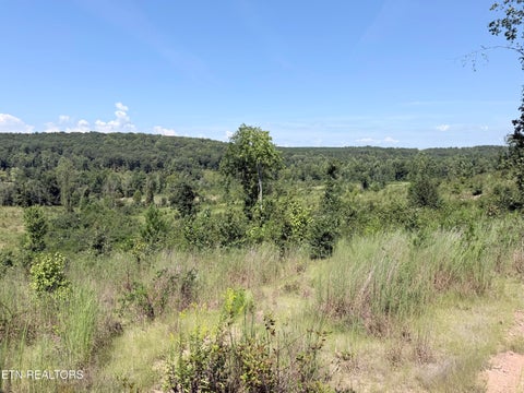 Tiny photo for 140 County Road 190, Decatur, TN 37322 (MLS # 1355039)