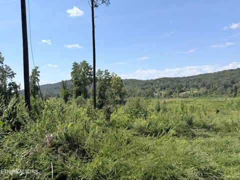 Tiny photo for 140 County Road 190, Decatur, TN 37322 (MLS # 1355039)