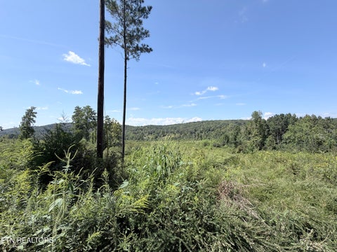 Tiny photo for 140 County Road 190, Decatur, TN 37322 (MLS # 1355039)