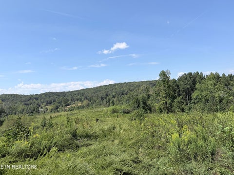 Tiny photo for 140 County Road 190, Decatur, TN 37322 (MLS # 1355039)