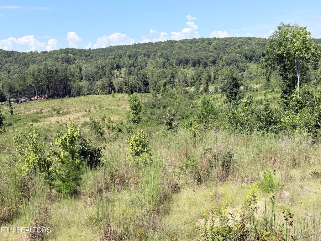 Photo of 140 County Road 190, Decatur, TN 37322 (MLS # 1355039)