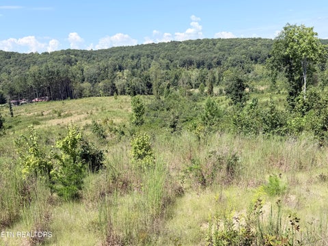Photo of 140 County Road 190, Decatur, TN 37322 (MLS # 1355039)