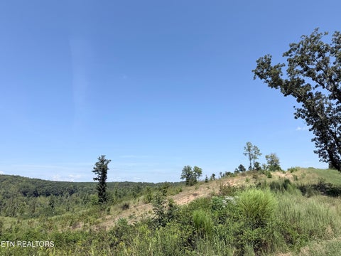 Tiny photo for 140 County Road 190, Decatur, TN 37322 (MLS # 1355039)