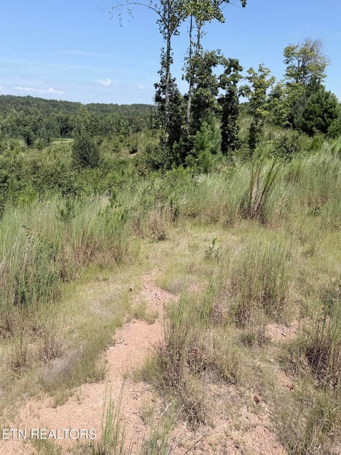 Tiny photo for 140 County Road 190, Decatur, TN 37322 (MLS # 1355039)
