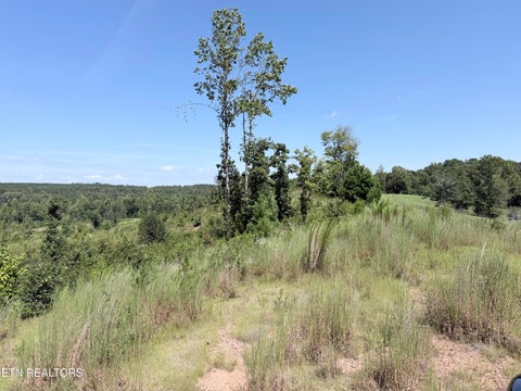 Tiny photo for 140 County Road 190, Decatur, TN 37322 (MLS # 1355039)