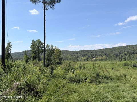 Tiny photo for 140 County Road 190, Decatur, TN 37322 (MLS # 1355039)