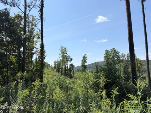 Tiny photo for 140 County Road 190, Decatur, TN 37322 (MLS # 1355039)