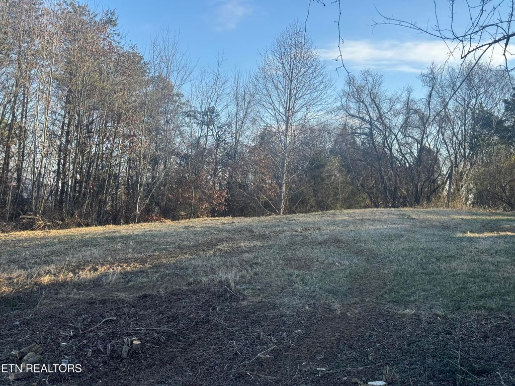 Photo of 2490 Whittle Lot 4 Rd, New Market, TN 37820 (MLS # 1327044)