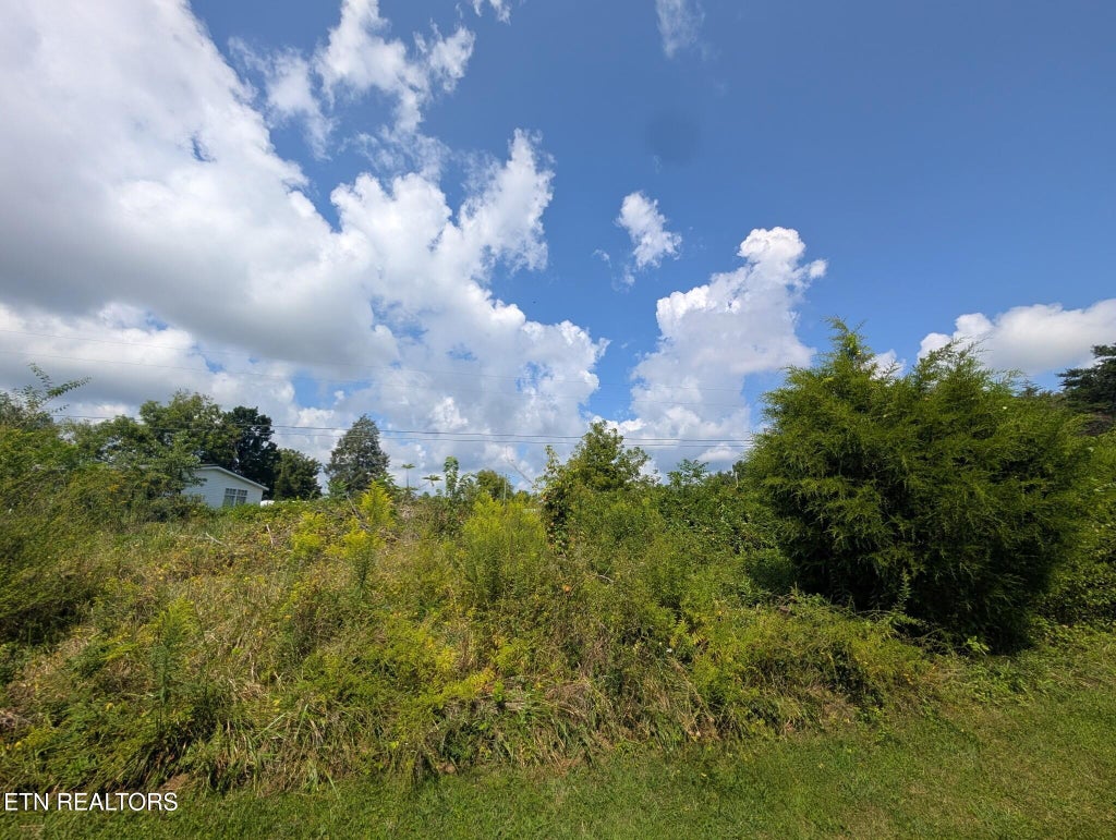 Photo of O Camp Drive - Lot 3, Crossville, TN 38572 (MLS # 1354130)