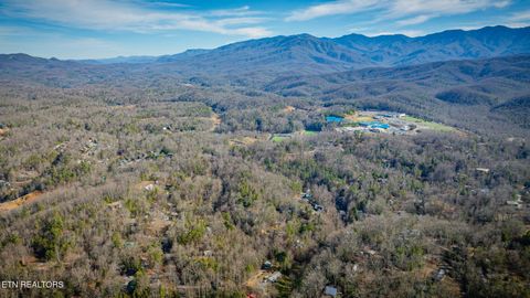 Tiny photo for 1748 Cardinal Drive, Gatlinburg, TN 37738 (MLS # 1326525)