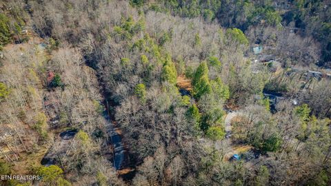Tiny photo for 1748 Cardinal Drive, Gatlinburg, TN 37738 (MLS # 1326525)