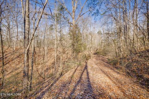 Tiny photo for 1748 Cardinal Drive, Gatlinburg, TN 37738 (MLS # 1326525)