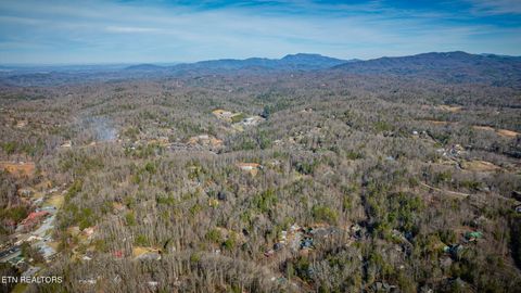 Tiny photo for 1748 Cardinal Drive, Gatlinburg, TN 37738 (MLS # 1326525)