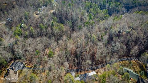 Tiny photo for 1748 Cardinal Drive, Gatlinburg, TN 37738 (MLS # 1326525)