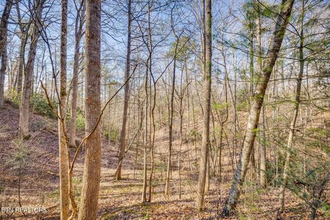 Tiny photo for 1748 Cardinal Drive, Gatlinburg, TN 37738 (MLS # 1326525)