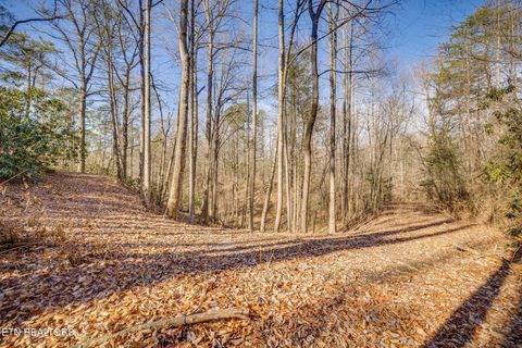 Tiny photo for 1748 Cardinal Drive, Gatlinburg, TN 37738 (MLS # 1326525)
