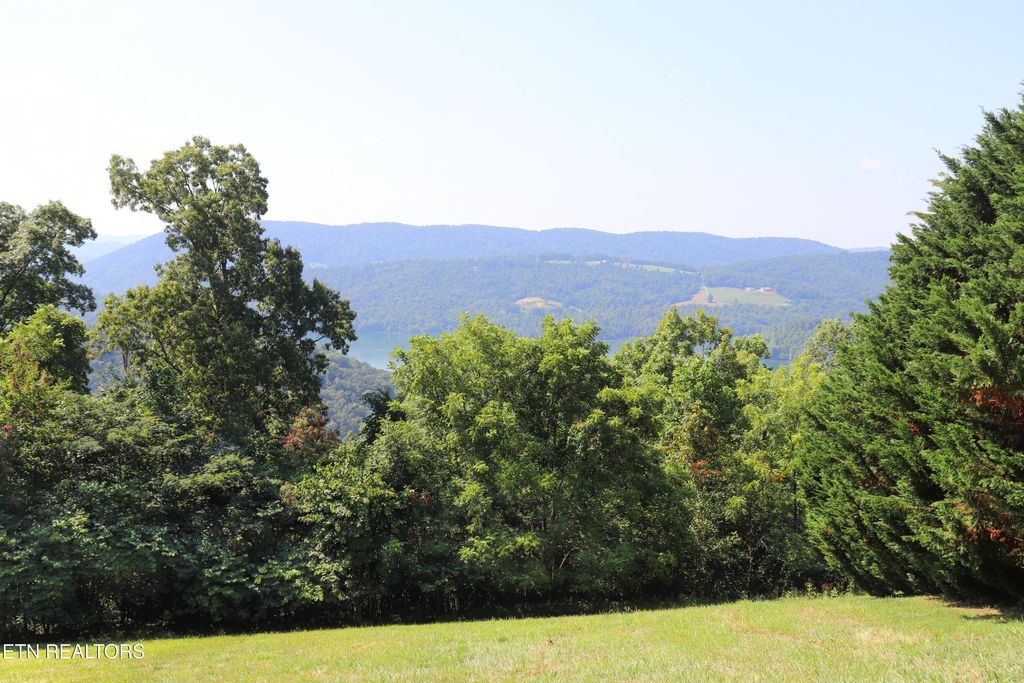 Photo of 168 Feldspar Rd, New Tazewell, TN 37825 (MLS # 1309769)