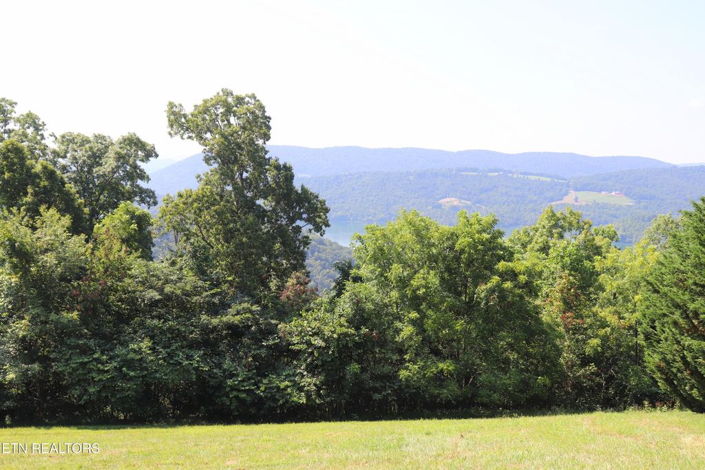 Photo of 168 Feldspar Rd, New Tazewell, TN 37825 (MLS # 1309769)