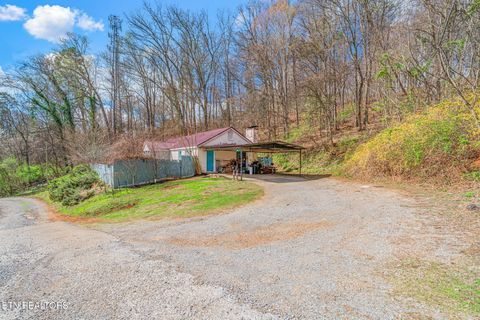 Photo of 4111 Wrights Ferry Rd, Louisville, TN 37777 (MLS # 1332180)